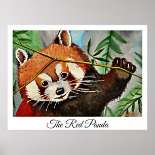 Der rote Panda Poster