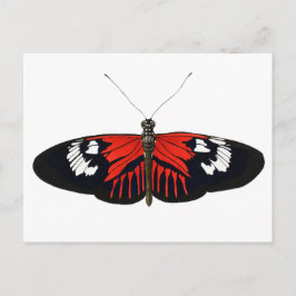 Der rote Postman Butterfly Postkarte