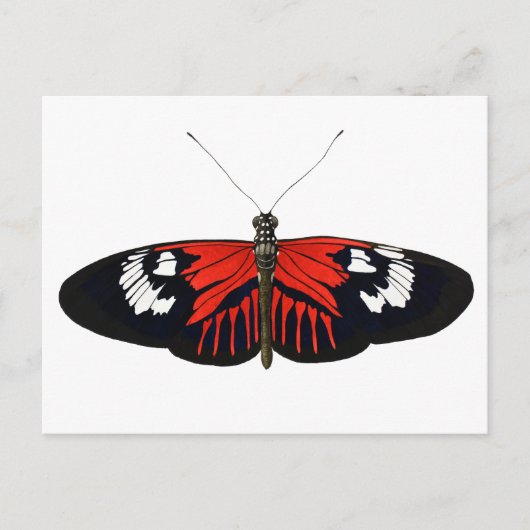 Der rote Postman Butterfly Postkarte (Vorderseite)