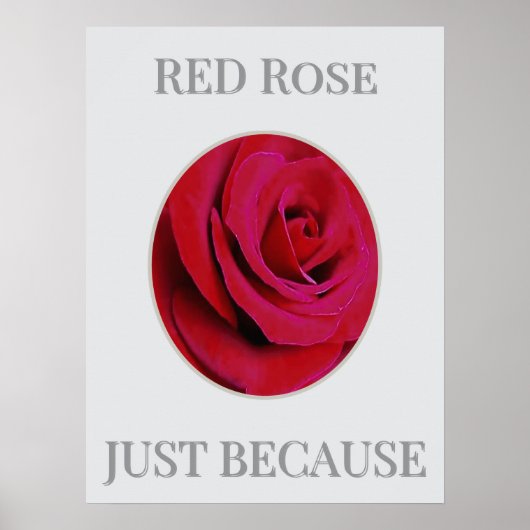 DER ROTE Rosenposter Poster (Vorne)