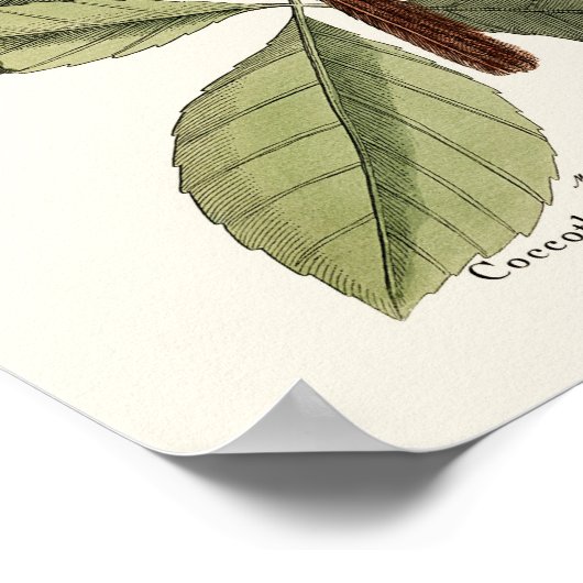 Der Rote Vogel - Seligmann Poster (Ecke)