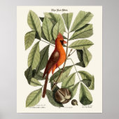 Der Rote Vogel - Seligmann Poster (Vorne)