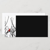 Der Rote Vogel von Leslie-Paprikaschoten (Vorne/Hinten)