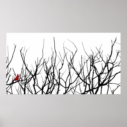 Der Rote Vogel von Leslie-Paprikaschoten Poster (Vorne)