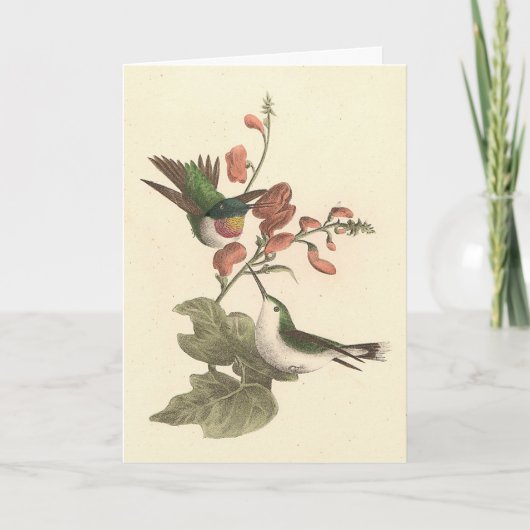 Der rothaarige oder rubingebeutelte Hummingvogel Karte (Vorderseite)