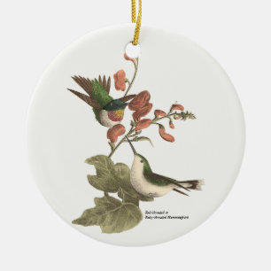 Der rothaarige oder rubingebeutelte Hummingvogel Keramik Ornament