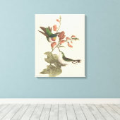 Der rothaarige oder rubingebeutelte Hummingvogel Leinwanddruck (Insitu (Holzboden))