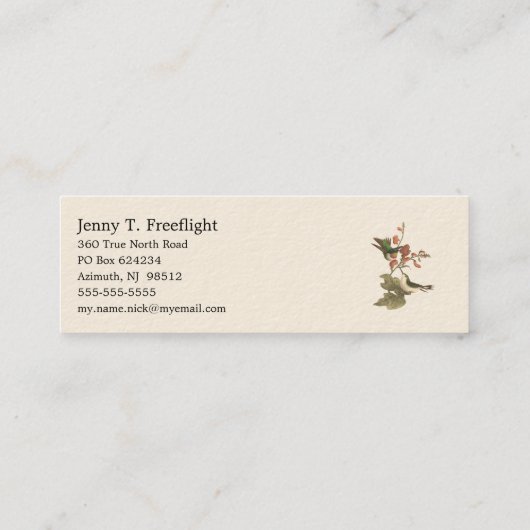 Der rothaarige oder rubingebeutelte Hummingvogel Mini Visitenkarte (Rückseite)