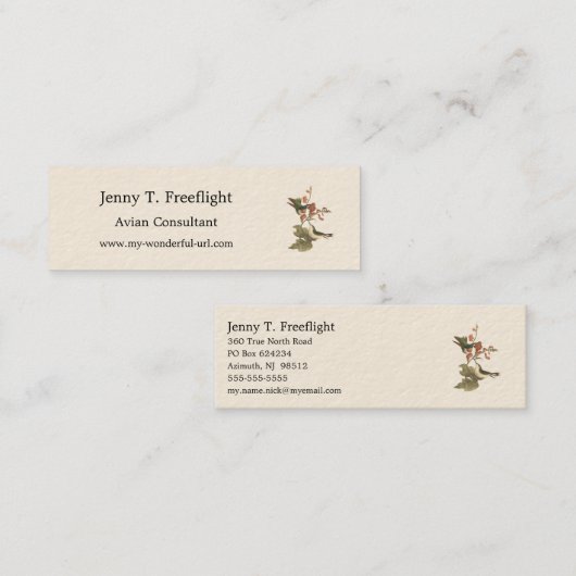 Der rothaarige oder rubingebeutelte Hummingvogel Mini Visitenkarte (Vorne/Hinten)