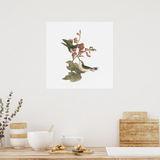 Der rothaarige oder rubingebeutelte Hummingvogel Poster (Küche)