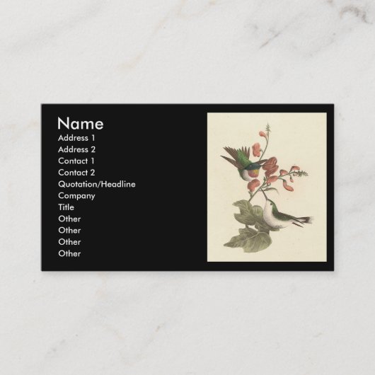 Der rothaarige oder rubingebeutelte Hummingvogel Visitenkarte (Vorderseite)