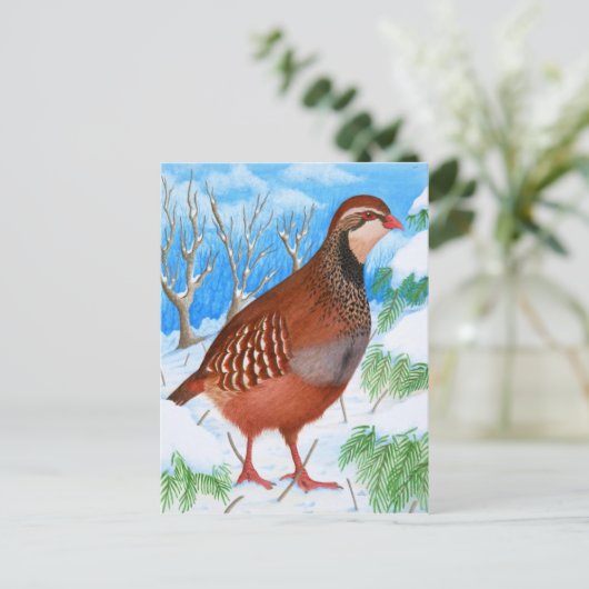 Der Rotschnabel-Partridge Postkarte (Stehend Vorderseite)