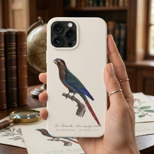Der Rotsteißsittich, Pyrrhura Picta Case-Mate iPhone Hülle