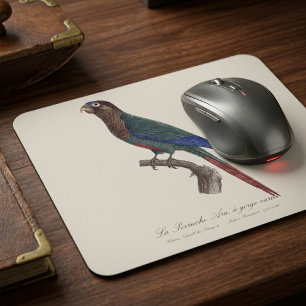 Der Rotsteißsittich, Pyrrhura Picta Mousepad