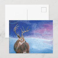 Der Rotwild (Cervus elaphus) im Winter