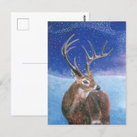 Der Rotwild (Cervus elaphus) im Winter