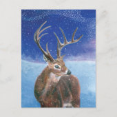 Der Rotwild (Cervus elaphus) im Winter Postkarte (Vorderseite)