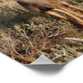 Der Ruf der wilden Leinwand Poster (Ecke)