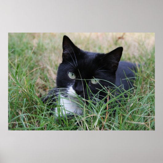 Der ruhende Jäger Poster (Vorne)