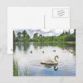 Der ruhige See Postkarte (Vorne/Hinten)