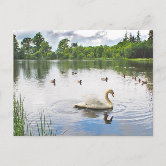 Der ruhige See Postkarte (Vorderseite)