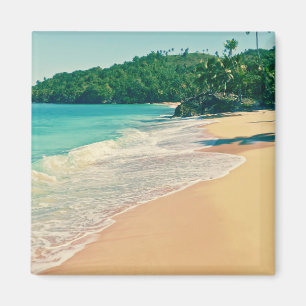 Der ruhige tropische Strand Magnet