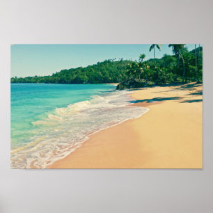 Der ruhige tropische Strand Poster