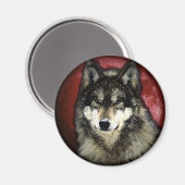 Der ruhige Wolf Magnet (Vorderseite/Rückseite)