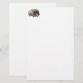 Der Ruhm Briefpapier (Vorne/Hinten)