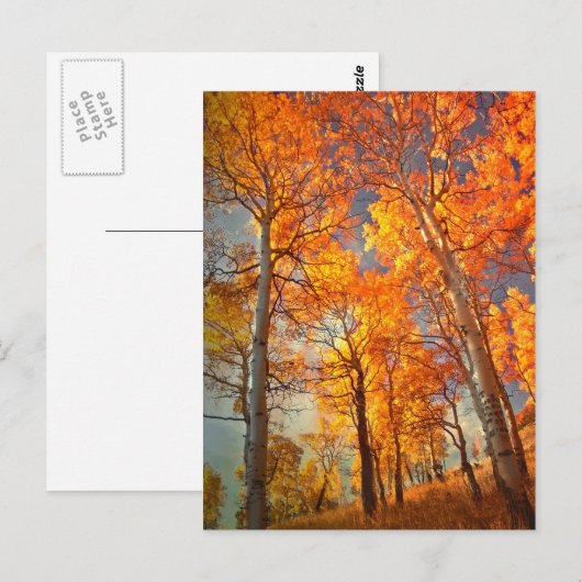 Der Ruhm der Espen Postkarte (Vorne/Hinten)