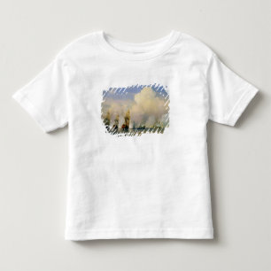 Der Russo-Schwedische Seekrieg nahe Kronstadt im Kleinkind T-shirt