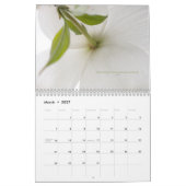 Der saftige lebende Kalender 2010 (Mär 2027)