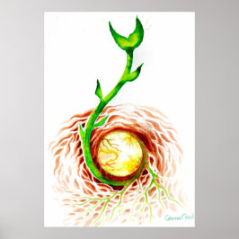 Der Samen des Lebens Poster