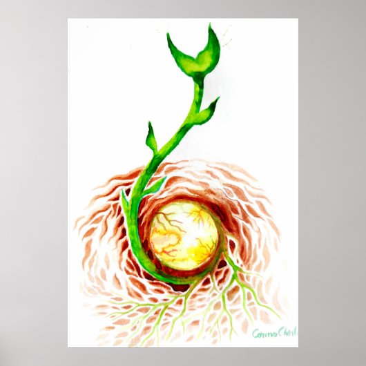 Der Samen des Lebens Poster (Vorne)