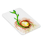 Der Samen von Poster-Leinwand auf der Postkarte Magnet (Rechte Seite)