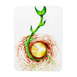 Der Samen von Poster-Leinwand auf der Postkarte Magnet