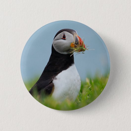 Der Sammler-Papageientaucher Button (Vorderseite)