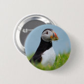 Der Sammler-Papageientaucher Button (Vorne & Hinten)