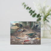 Der Satin Bower-Bird von Joseph Wolf Postkarte (Stehend Vorderseite)
