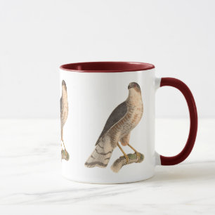 Der schiefe Hawk (Astur fuscus) Tasse