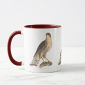 Der schiefe Hawk (Astur fuscus) Tasse (Links)