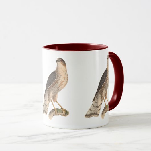 Der schiefe Hawk (Astur fuscus) Tasse (VorderseiteRechts)