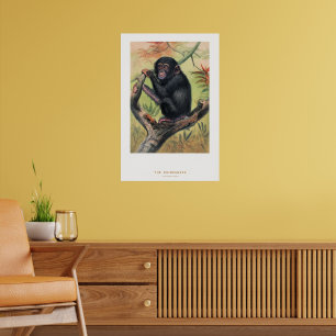 Der Schimpanse, Zoologische Skizzen, Poster