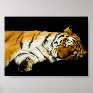 Der schlafende Amur Print Poster