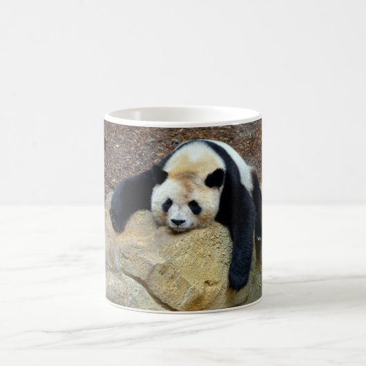 Der schlafende Riesenpanda fiel auf einen Felsen Kaffeetasse (Mittel)