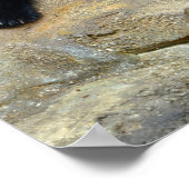 Der schlafende Riesenpanda fiel auf einen Felsen Poster (Ecke)