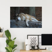 Der schlafende Wolf Poster (Heimbüro)