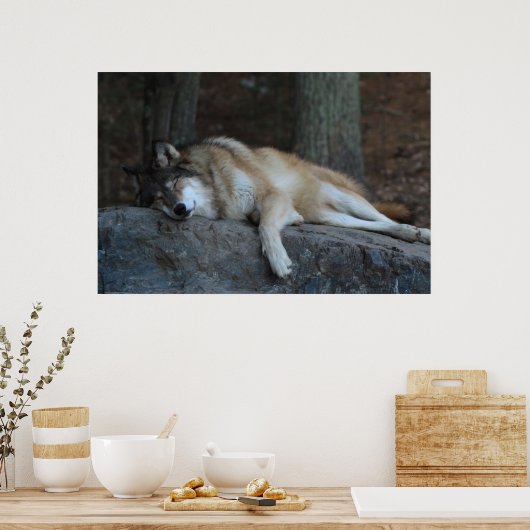 Der schlafende Wolf Poster (Küche)