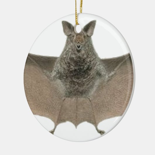 der Schläger Keramik Ornament (Links)