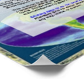 Der Schlüssel zum Planeten Poster (Ecke)